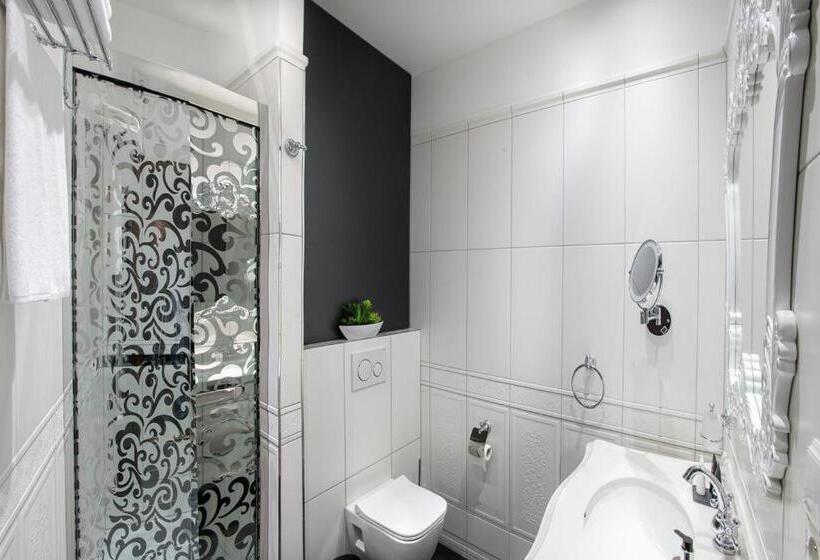 酒店 Château šanov