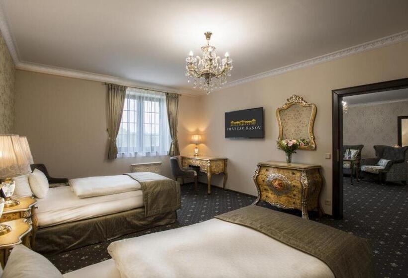 酒店 Château šanov