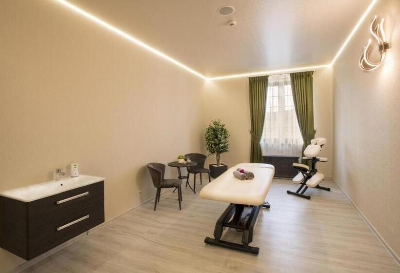 酒店 Château šanov