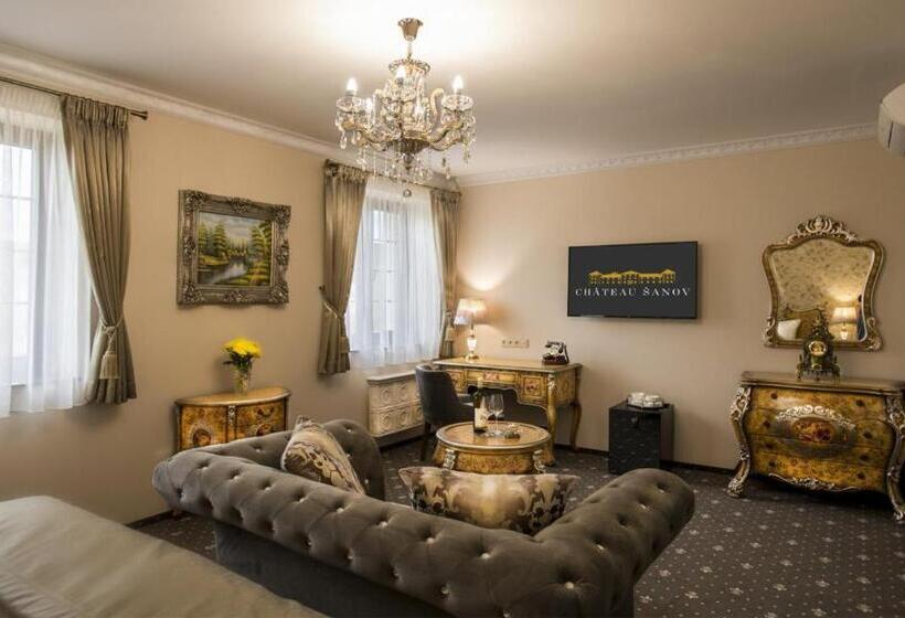 酒店 Château šanov
