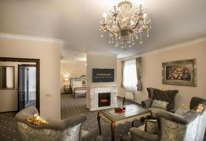 酒店 Château šanov