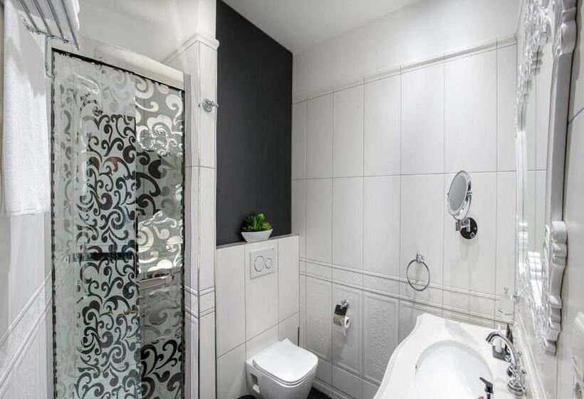 酒店 Château šanov