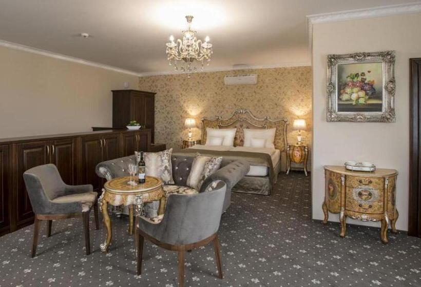 酒店 Château šanov