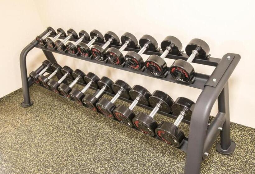 酒店 Château šanov