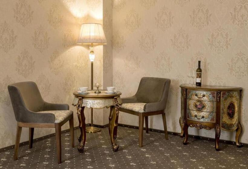 酒店 Château šanov