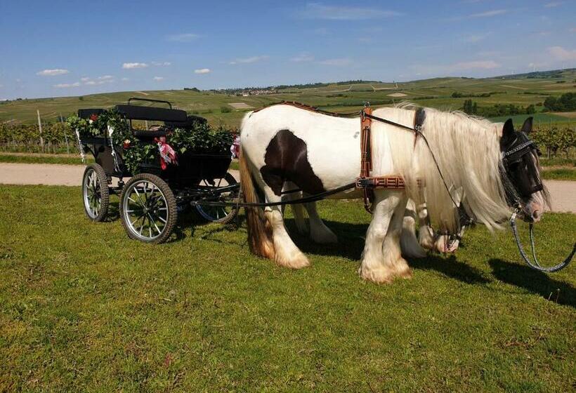 ホテル Ferienwohnung Tinkerhof Nähe Bingen