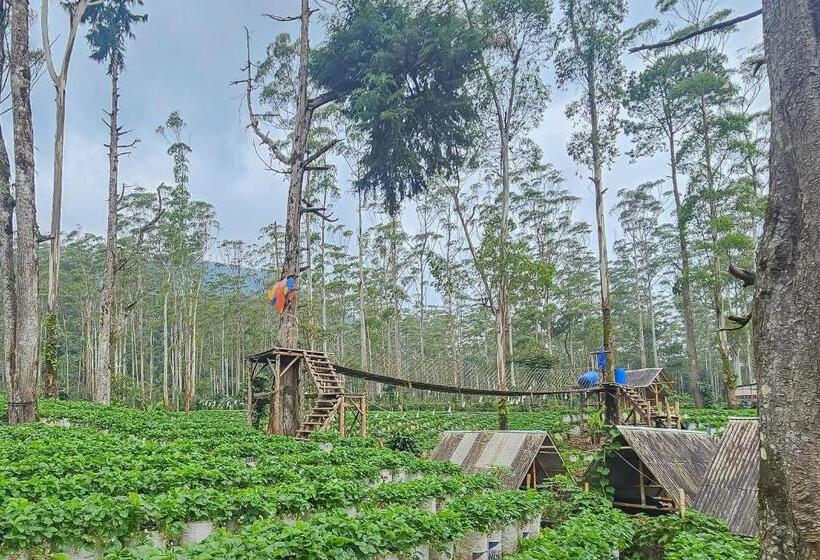 Отель Cigadog Residence Mitra Reddoorz