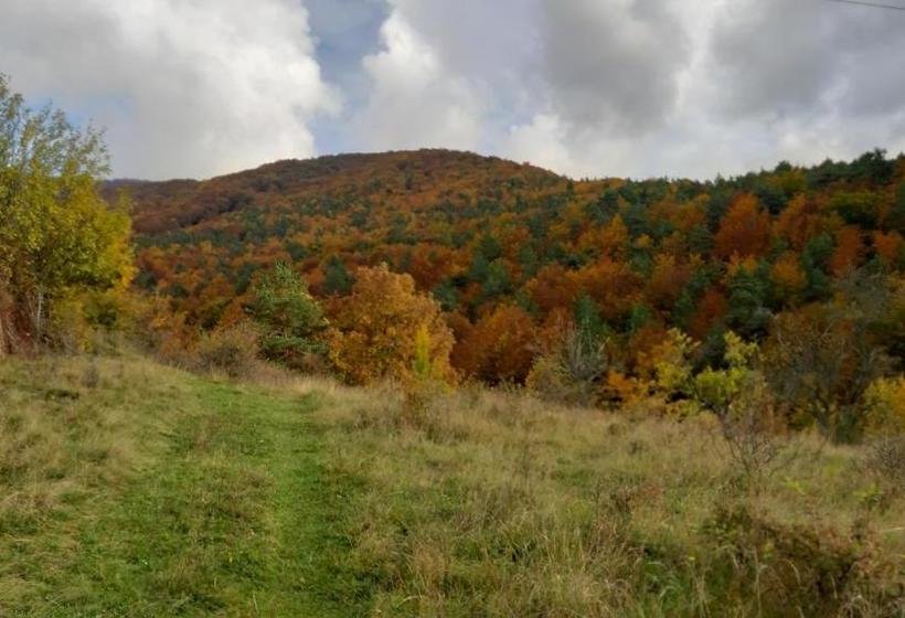 فندق Penzión Pri Studničke Omastiná