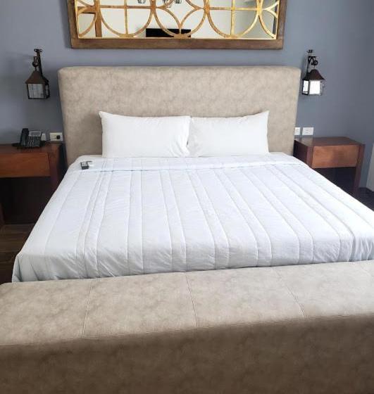 酒店 Plaza Matamoros