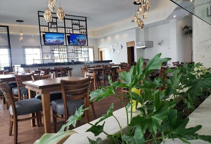 酒店 Plaza Matamoros