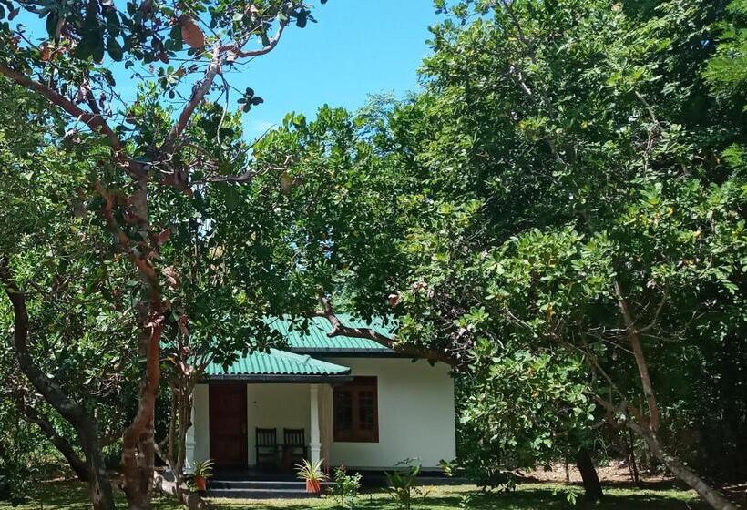 בית מלון כפרי Sigiri Suncap Cottage
