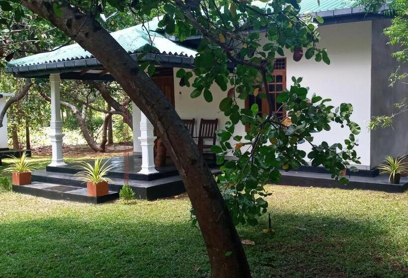 בית מלון כפרי Sigiri Suncap Cottage