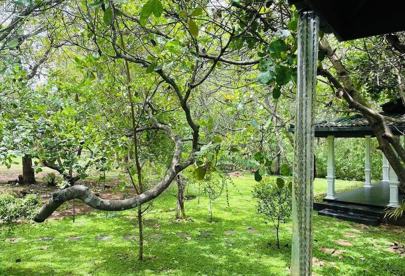 בית מלון כפרי Sigiri Suncap Cottage
