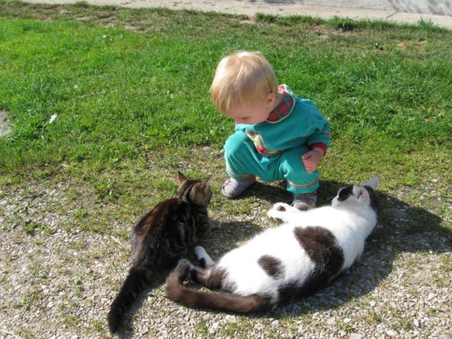 Отель Wagnerhof