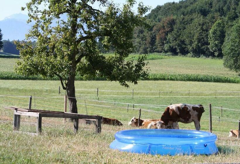 Отель Wagnerhof