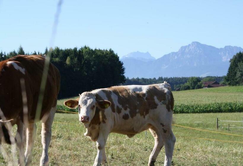 Отель Wagnerhof