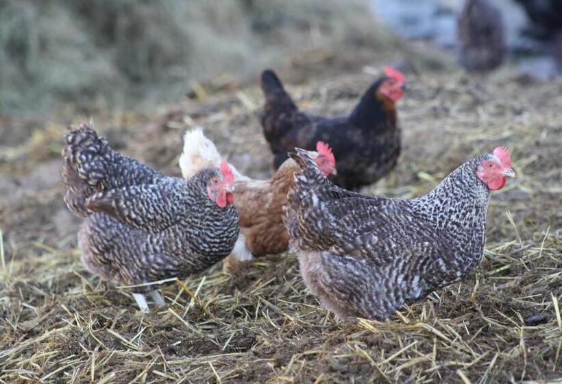 Отель Wagnerhof