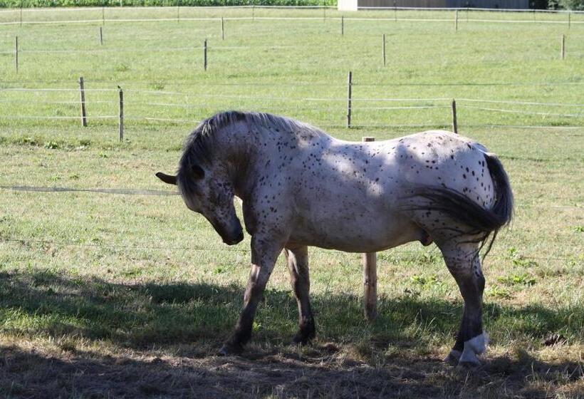 Отель Wagnerhof