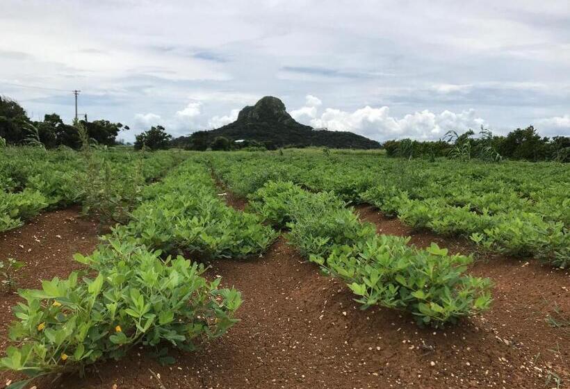 Pension ロハス伊江島
