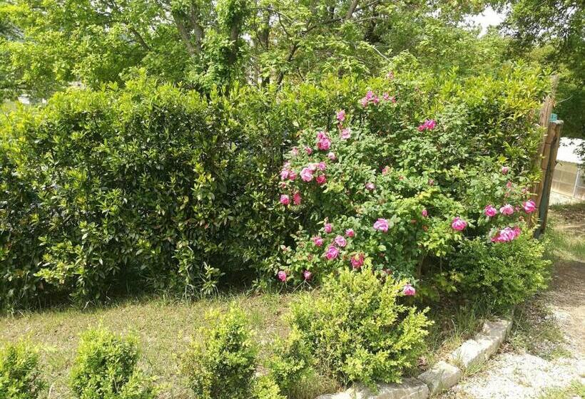 ペンション Camera Matrimonialedoppia Con Balcone Vista Piscina