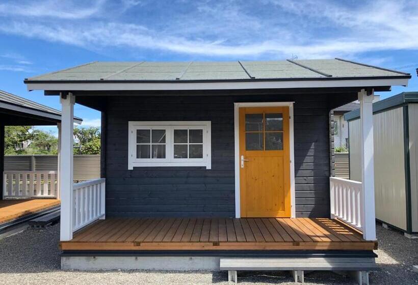 بنسيون The Room