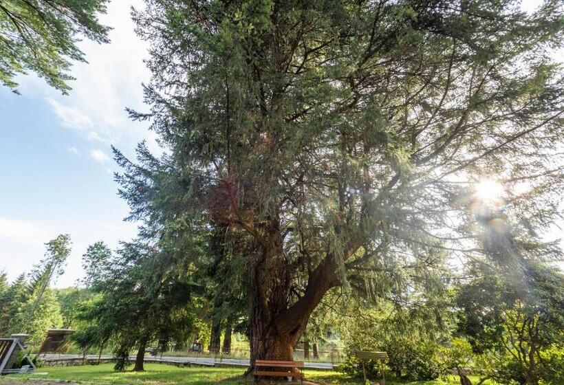 بنسيون Zámeček Waldsteinovo Zátiší