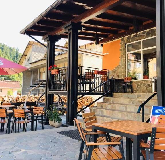 Pensiunea Montana Borșa Mm