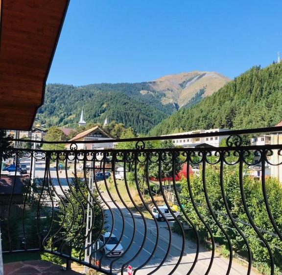 Pensiunea Montana Borșa Mm