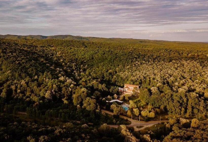 منتجع Mcpietroasa