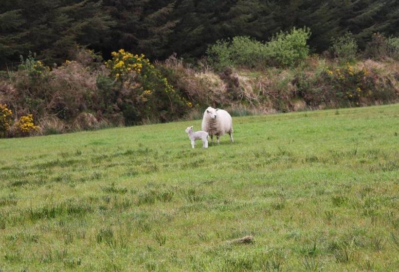 The Old School House B&b