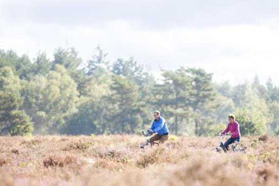 Best Western Parkhotel Putten