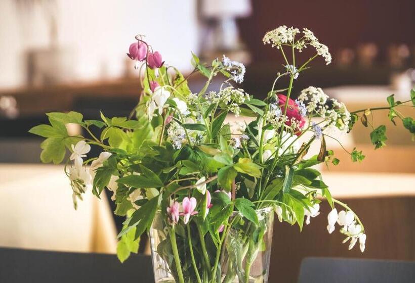 בית מלון כפרי Alpina