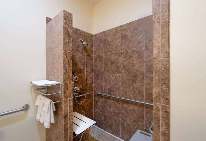 בית מלון כפרי Baymont By Wyndham Savannah South