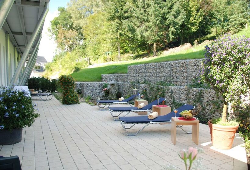 Aalener Römerhotel Awl