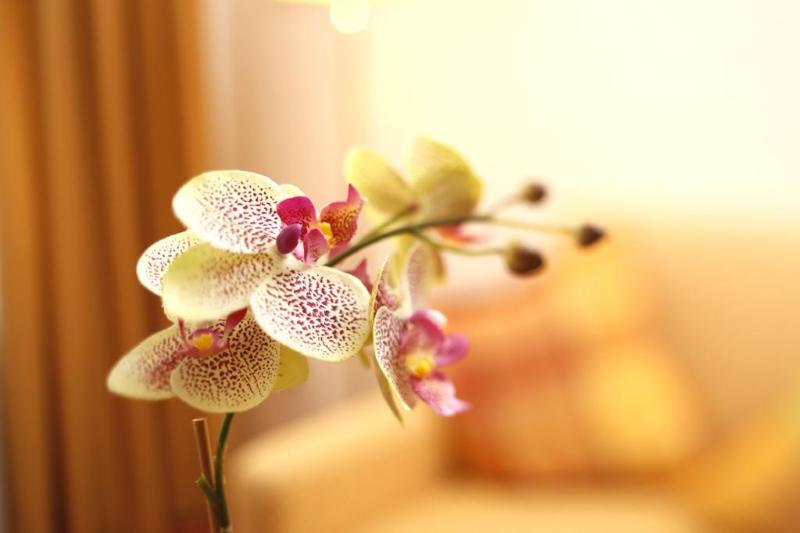 Caravelle Hotel Im Park