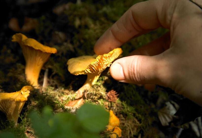 ホテル Cliff House