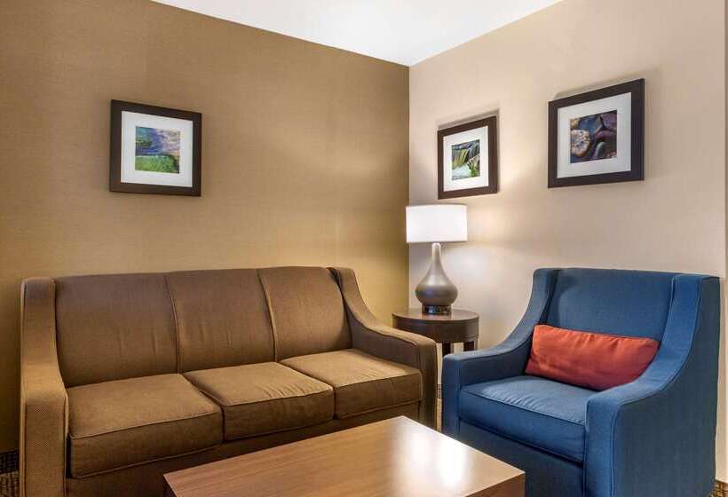 בית מלון כפרי Comfort Inn Williamsport