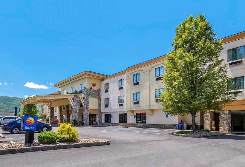 בית מלון כפרי Comfort Inn Williamsport