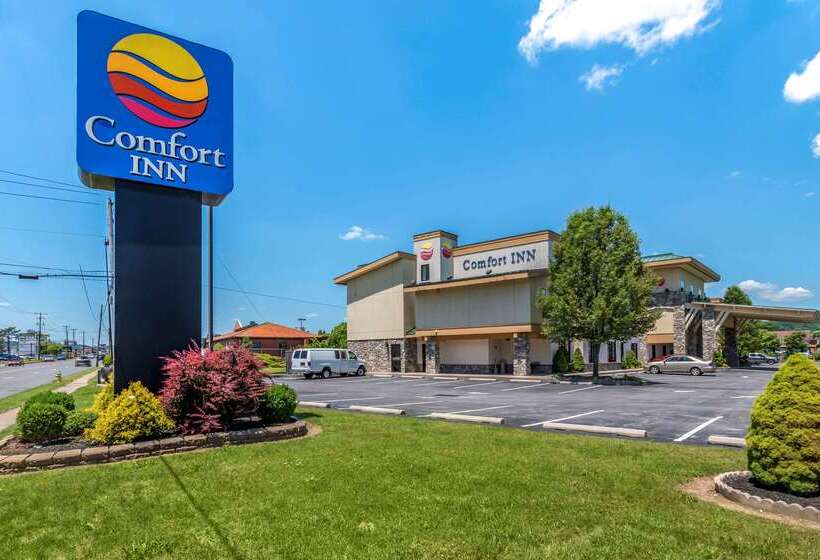 فندق Comfort Inn Williamsport