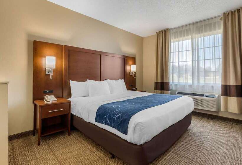 فندق Comfort Suites