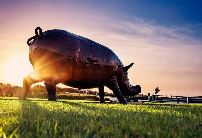 فندق Diamond Coast