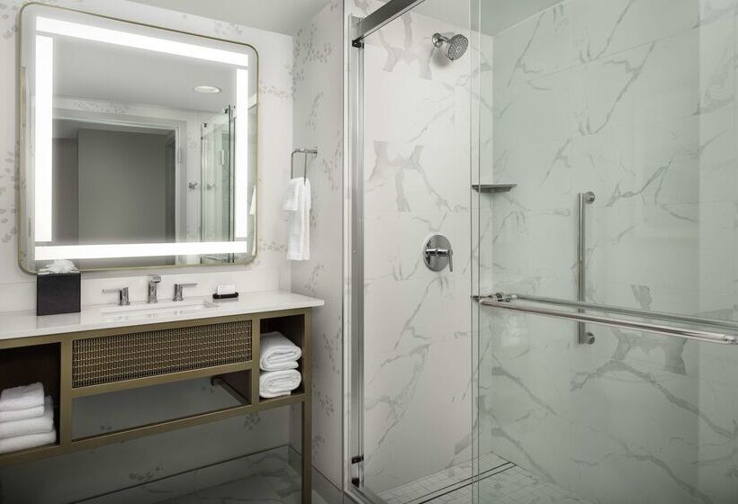 Отель Embassy Suites By Hilton Dulles North Loudoun