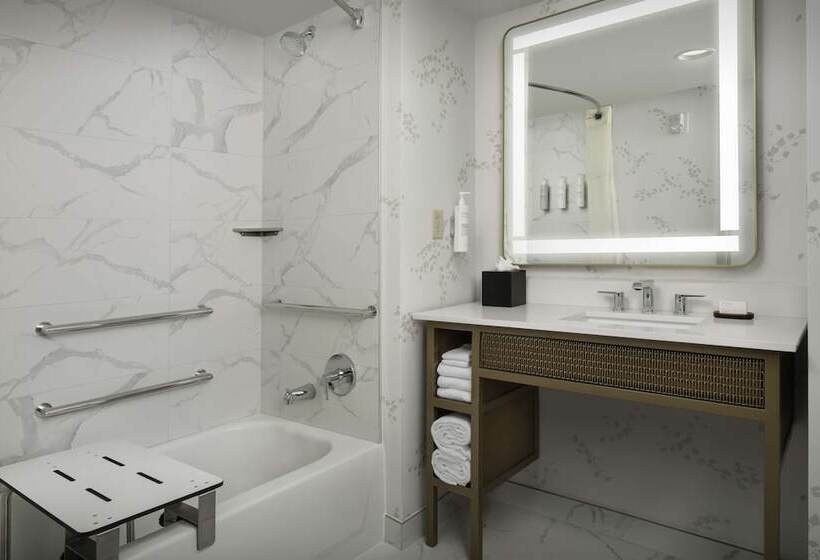 Отель Embassy Suites By Hilton Dulles North Loudoun