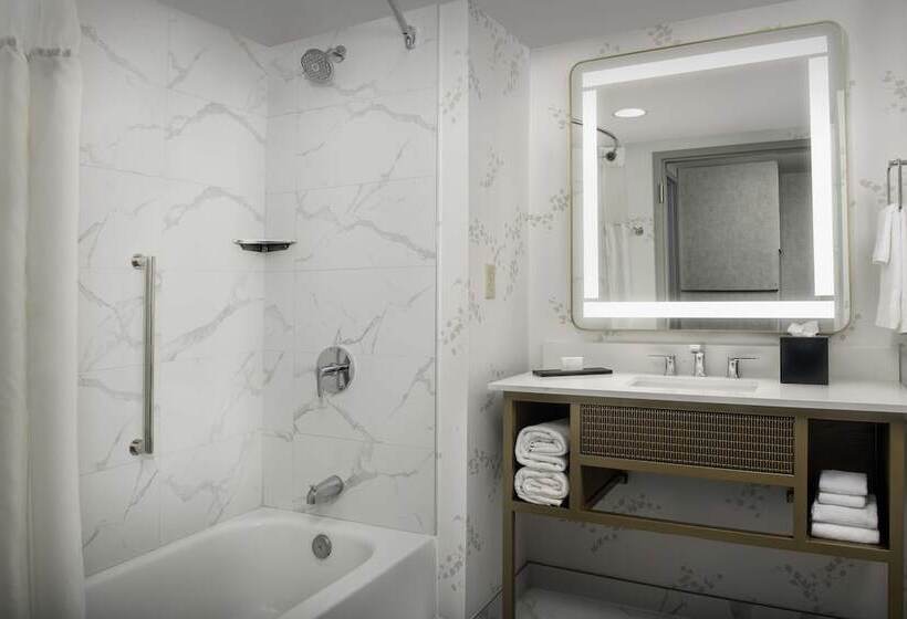 Отель Embassy Suites By Hilton Dulles North Loudoun