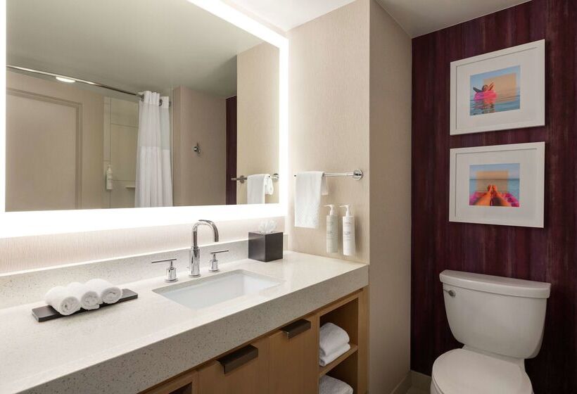 فندق Embassy Suites By Hilton Tampa Downtown Convention Center