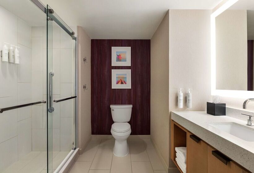 فندق Embassy Suites By Hilton Tampa Downtown Convention Center