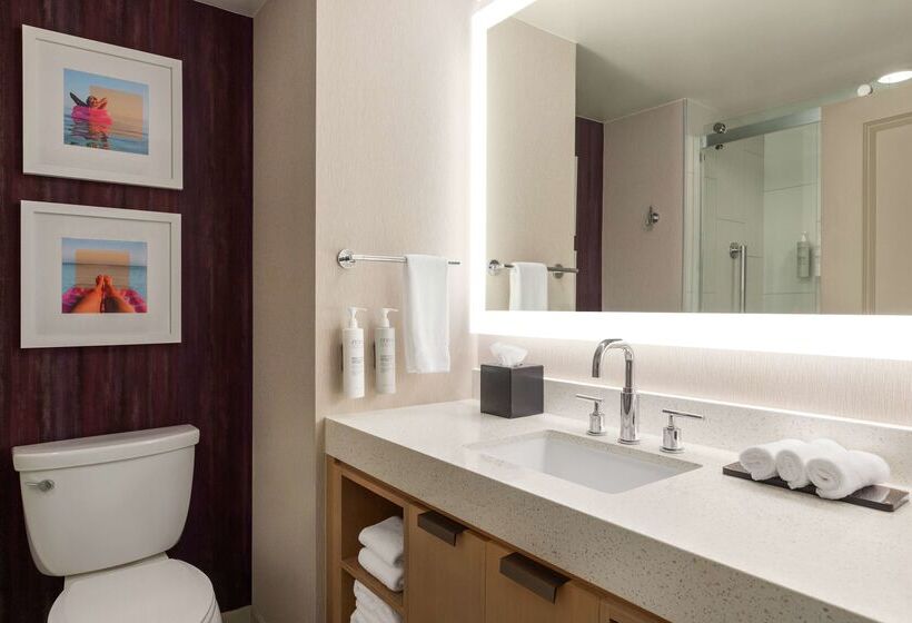 בית מלון כפרי Embassy Suites By Hilton Tampa Downtown Convention Center