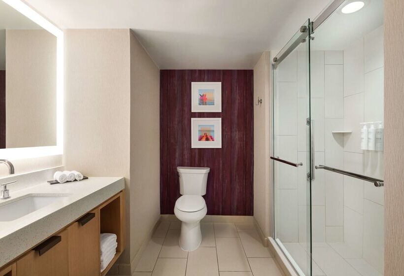 فندق Embassy Suites By Hilton Tampa Downtown Convention Center