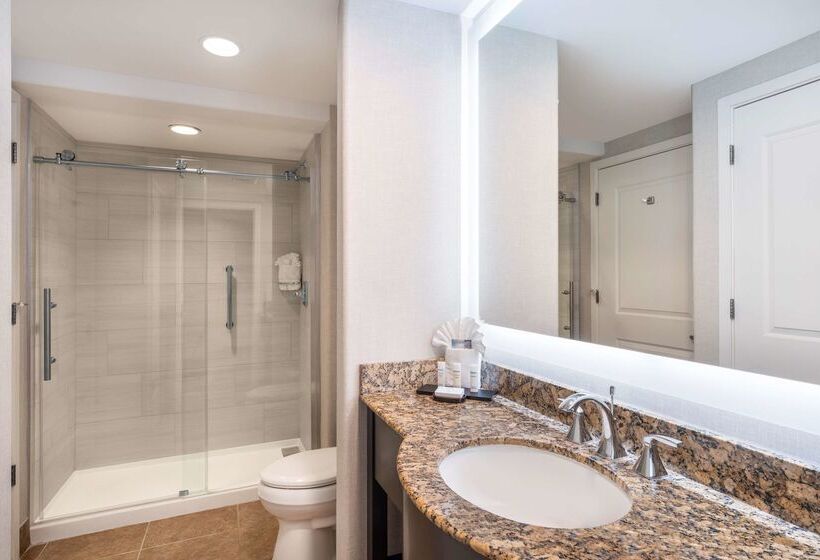 هتل Embassy Suites By Hilton Tucson Paloma Village