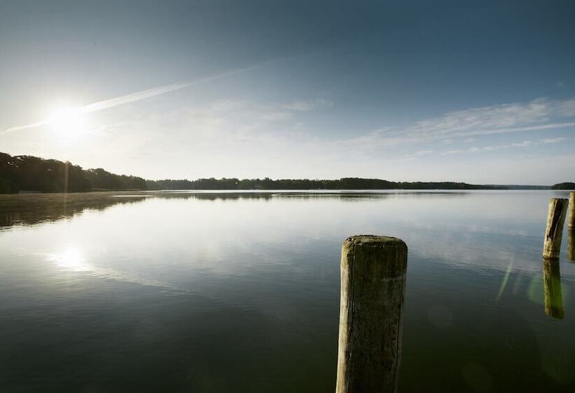 酒店 Esplanade Resort & Spa  Adults Only